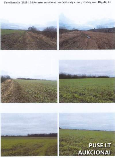 Parduodamas žemės sklypas Kėdainių r. sav. Rėgulių k. aukcione, pradinė kaina 11160 EUR