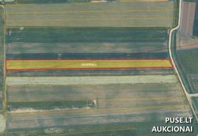 Žemės sklypo 1/3 dalis Noručių kaime, Radviliškio r. sav., 0.3167 ha, pradinė kaina 828 EUR