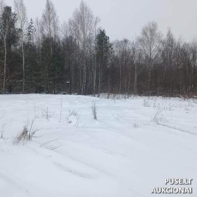 Valstybinės žemės sklypas Biržuose, Plento g. 4H, pradinė kaina 5472 EUR - Nekilnojamojo turto aukcionas