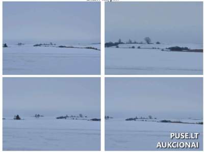 Parduodamas žemės ūkio paskirties sklypas Vilkaviškio r. Kurpikų k. 1/2 dalis - 8832 EUR