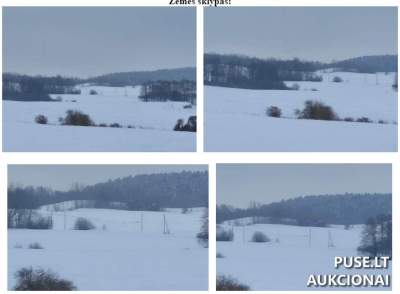 Žemės ūkio paskirties sklypas Vilkaviškio rajone, Vaidotų kaime, pradinė kaina 6760 EUR