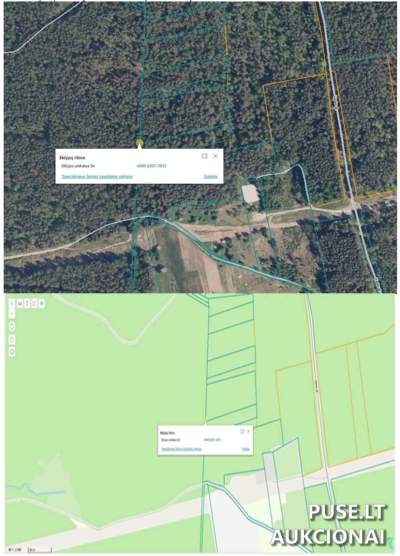 Žemės sklypo 1/8 dalis Vilniaus rajone, Girulių kaime, parduodama aukcione nuo 3968 EUR