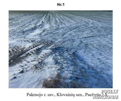 Valstybinis žemės sklypas Pakruojo r. sav., Paežerių I k. parduodamas pradinė kaina 49055 EUR