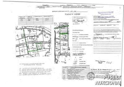 Žemės sklypo dalies (1/3) pardavimas viešame aukcione Pasvalio r. sav., Migonių k. - 928 EUR