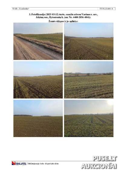 Žemės ūkio paskirties žemės sklypas Varėnos r. sav., Bytautonių k. 2250 EUR, 3/8 dalis 0.75 ha
