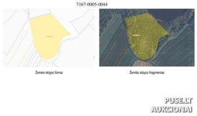 Parduodamas žemės sklypas (3.50 ha) miškų ūkio paskirties Radviliškio r. aukcione nuo 14400 EUR