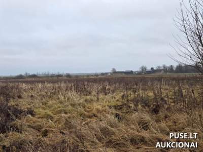 Žemės ūkio paskirties sklypas Panevėžio rajone, Kurmėnų kaime, 1280 EUR pradinė kaina