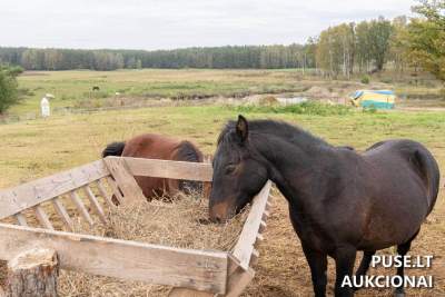 Žirgyno pastatų kompleksas Molėtų rajone, Žalktynės k. pradinė kaina 1050000 EUR