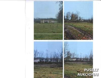 Patalpų kompleksas (ferma) Kelmės r., Gudelių k., parduodamas aukcione pradine kaina 1200 EUR
