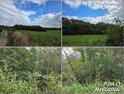 Valstybinis žemės sklypas Tauragės r. sav., Leikiškių k., pradinė kaina 4293 EUR