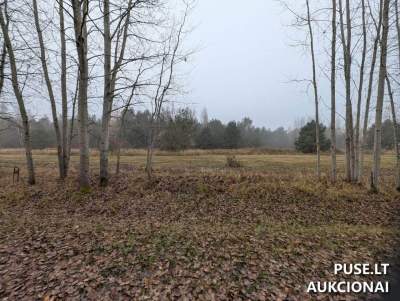 Valstybinis žemės sklypas Jurbarko mieste, P. Paulaičio g. 17A, nuomos aukcionas nuo 1700 EUR