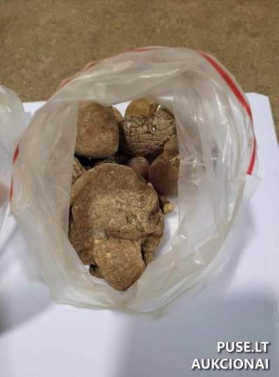 11,752 kg gintaro aukcionas 577 EUR pradine kaina - Muitinės departamentas