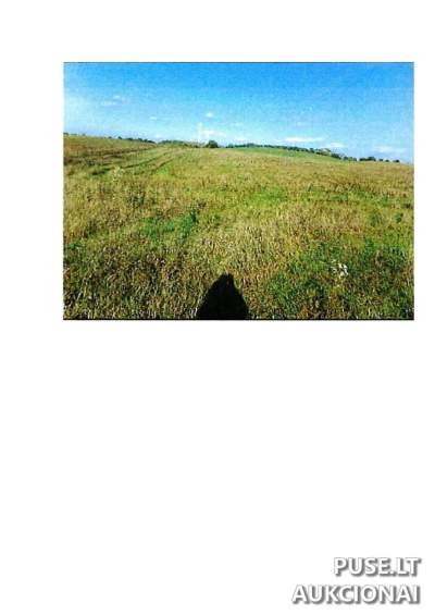 Didelis žemės ūkio sklypas Prienų rajone, Rodomislės kaime, pradinė kaina 28620 EUR