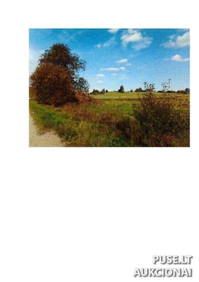 Žemės ūkio paskirties sklypai Prienų rajone, Palapiškių kaime, pradinė kaina 12960 EUR
