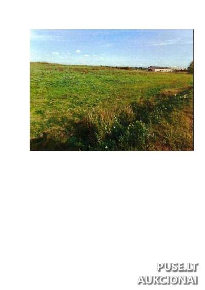 Didelis 17.57 ha žemės ūkio sklypas Prienų rajone, Intuponių kaime, pradinė kaina 52200 EUR