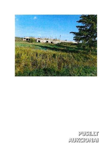 Žemės ūkio paskirties sklypas Prienų rajone, Intuponių k., Lauko g. 20, pradinė kaina 1800 EUR