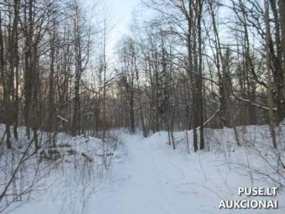 6.64 ha Miškų ūkio paskirties žemės sklypas Klaipėdos rajone, Jucaičių kaime, pradinė kaina 25200 EUR