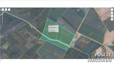 Didelis 27.65 ha žemės ūkio sklypas Raseinių rajone, Rimgailų kaime, pradinė kaina 150400 EUR