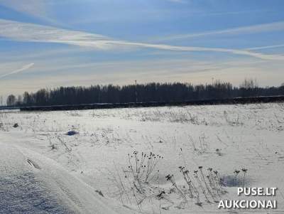 Parduodamas valstybinės žemės sklypas Šiauliuose, nuomos aukcionas su pradine kaina 1313 EUR