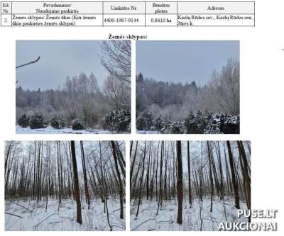 Žemės sklypas Jūrės kaime, Kazlų Rūdos sav. 0.8610 ha, 3680 EUR, antstolio aukcionas