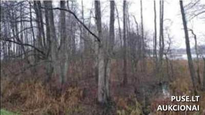 Valstybinis žemės sklypas Zarasų rajone, Vasaknų kaime, pradinė kaina 5064 EUR