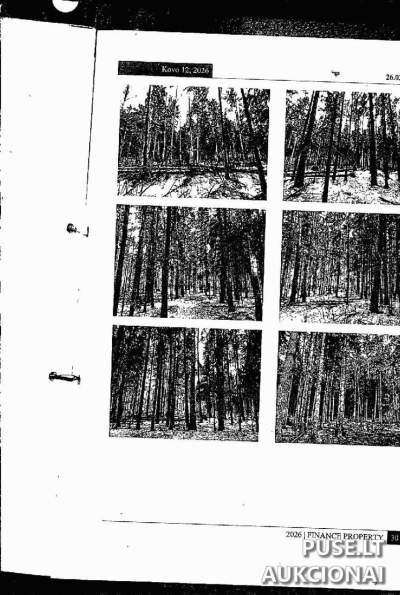 15/244 dalis miško žemės sklypo Trakų rajone, Strakiškiuose, pradinė kaina 1088 EUR