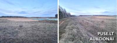 Žemės ūkio paskirties sklypas Klaipėdos r. sav., Juodikių kaime, kaina 7280 EUR