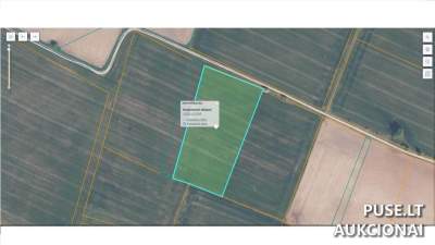 Žemės ūkio paskirties žemės sklypo 1/4 dalis Raseinių r. sav., Milašaičių k. 371 EUR pradinė kaina