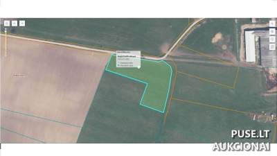 Žemės ūkio paskirties žemės sklypo 1/4 dalis Raseinių r. Palukščio k. - pradinė kaina 272 EUR
