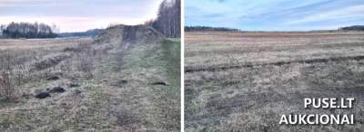 Parduodamas žemės ūkio paskirties sklypas Klaipėdos r. sav., Juodikių kaime, pradinė kaina 6320 EUR