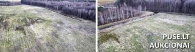 Žemės ūkio paskirties sklypas Klaipėdos rajone, Kantvainų kaimo vietovėje, pradinė kaina 23200 EUR