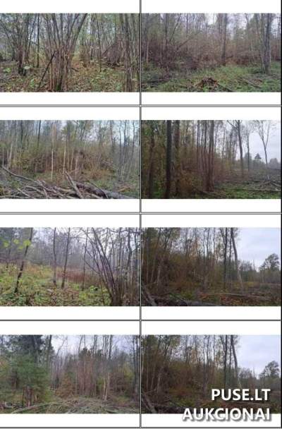 Valstybinės žemės sklypas Anykščių rajone, Kančiškių kaime, pradinė kaina 3201 EUR
