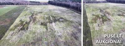 Žemės ūkio paskirties sklypas Klaipėdos rajone, Kantvainų kaime, pradinė kaina 21200 EUR