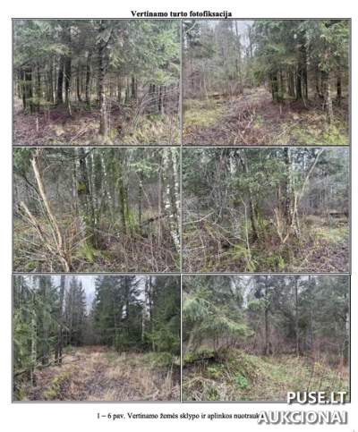 Valstybinės žemės sklypo aukcionas Kretingos r. sav., Mažųjų Žalimų k., pradinė kaina 13478 EUR