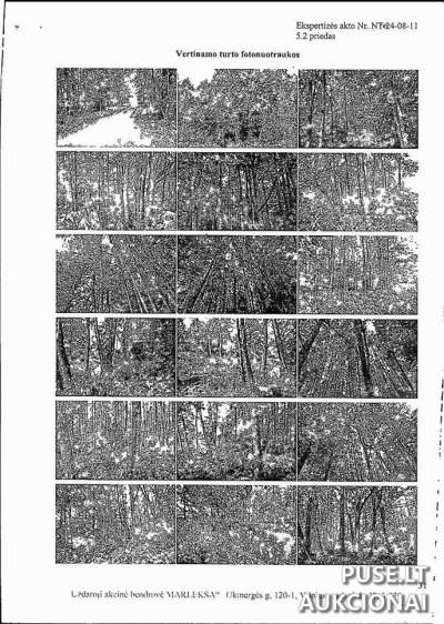 Žemės ūkio paskirties sklypas Kazlų Rūdos sav., Gulioniškės k., 2.87 ha, pradinė kaina 9840 EUR