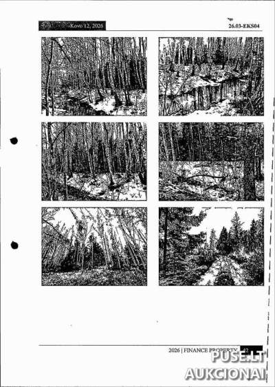 Žemės ūkio paskirties sklypo dalis Varėnos rajone, Diržamenių kaime, pradinė kaina 9760 EUR