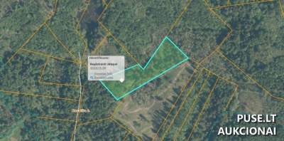 Parduodamas 1 hektaro miškų ūkio žemės sklypas Ignalinos r. sav., Nevaišių k. už 600 EUR pradinę kainą