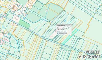 1/4 частка сільгоспземлі у с. Сартінінкай, р-н Таураге: старт від 1167 EUR