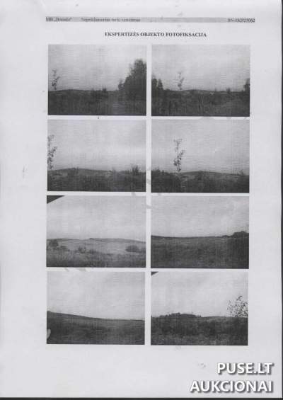 21.44 га сільгоспземлі в Молодецькому районі, с. Буржилу, початкова ціна 62400 EUR