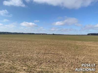 Parduodamas 1.13 ha žemės ūkio paskirties sklypas Kretingos rajone 1320 EUR pradinė kaina