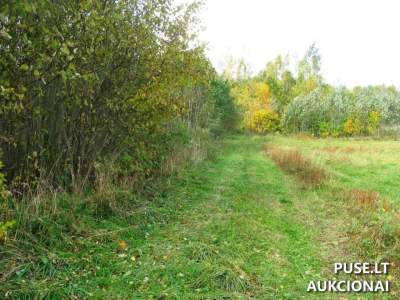 Parduodama 1/4 dalis žemės ūkio paskirties sklypo Vilniaus r. sav., Žybartonių k. pradinė kaina 804 EUR