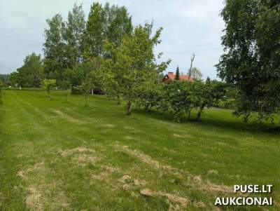 Žemės sklypas Plungės mieste, Pirkite aukcione nuo 3184 EUR