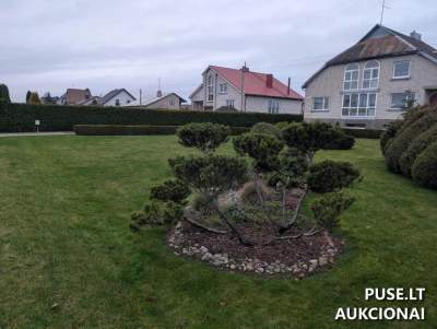 Valstybinis žemės sklypas Plungėje, Nausodžio g. 19A, pradinė kaina 10812 EUR