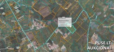 Žemės ūkio paskirties sklypo dalis Kaišiadorių rajone, Rokiškių I kaime, pradinė kaina 2000 EUR