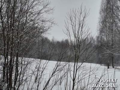 Valstybinės žemės sklypo nuoma Utenos r. sav., Pūčkoriškių k. 1A, pradinė kaina 23 EUR