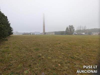Valstybinės žemės nuomos aukcionas Jurbarke, Statybininkų g. 2F, pradinė kaina 683 EUR