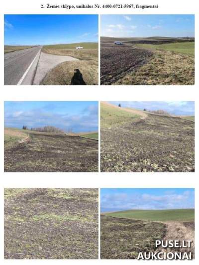 0.33 ha Agricultural Land Plot for Auction in Santaka Village, Kalvarija Municipality, Starting at 1040 EUR