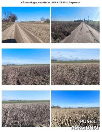 0.59 ha Agricultural Land Plot for Sale in Santakos Village, Kalvarija Municipality, Starting Bid 1840 EUR