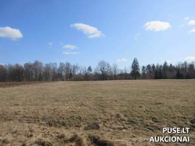 Parduodamas 2.62 ha žemės ūkio paskirties sklypas Kelmės r. sav., Bukantiškėse, pradinė kaina 3600 EUR