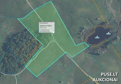 Parduodamas 7.19 ha žemės ūkio sklypas Molėtų r. Surguškės k. 7800 EUR pradinė kaina